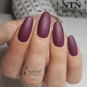 118 NTN Premium - Imagen 2