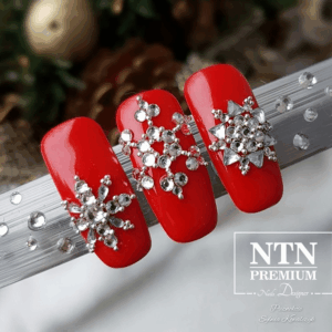 088 NTN Premium - Imagen 2