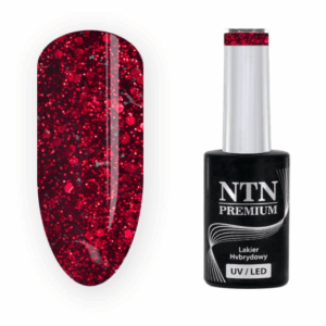 206 NTN Premium - Imagen 1