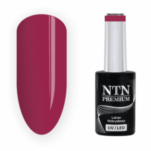 207 NTN Premium - Imagen 1