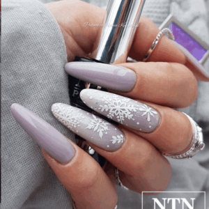 135 NTN Premium - Imagen 2