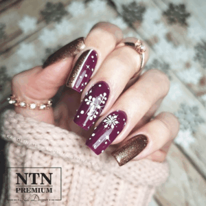 132 NTN Premium - Imagen 2