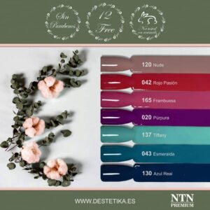 137 NTN Premium. Tiffany - Imagen 2