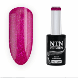 203 NTN Premium - Imagen 1