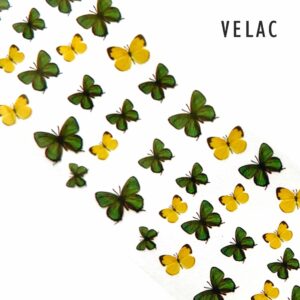 Foil 03 Pack 10 láminas Primavera Velac - Imagen 10