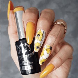 129 NTN Premium - Imagen 3