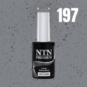 197 NTN Premium - Imagen 3