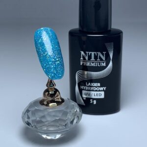 045 NTN Premium - Imagen 2