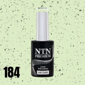 184 NTN Premium - Imagen 3
