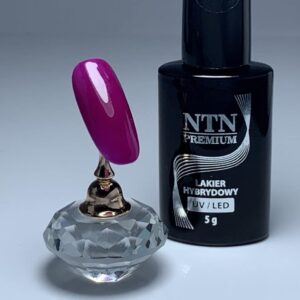 087 NTN Premium - Imagen 2