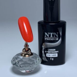 088 NTN Premium - Imagen 3