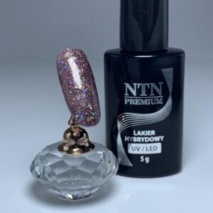 089 NTN Premium - Imagen 2