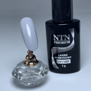 098 NTN Premium - Imagen 2