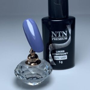 099 NTN Premium - Imagen 2