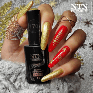 168 NTN Premium - Imagen 2