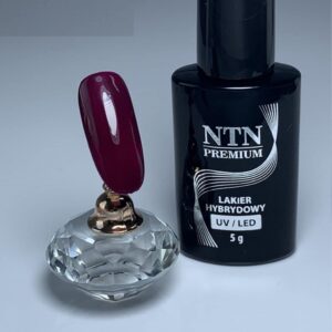 118 NTN Premium - Imagen 3