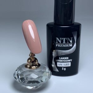 119 NTN Premium - Imagen 2