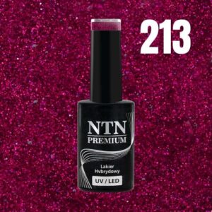213 NTN Premium - Imagen 3