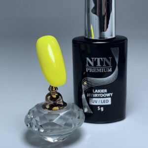 143 NTN Premium - Imagen 2