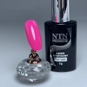 150 NTN Premium - Imagen 2