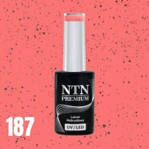 187 NTN Premium - Imagen 3