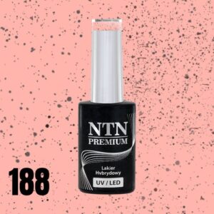 188 NTN Premium - Imagen 3
