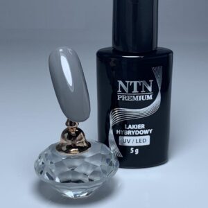 025 NTN Premium - Imagen 4