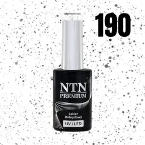 190 NTN Premium - Imagen 3