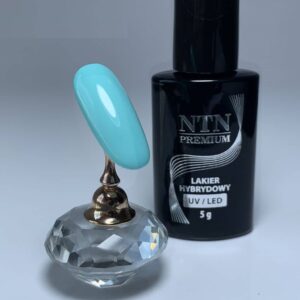 095 NTN Premium - Imagen 2