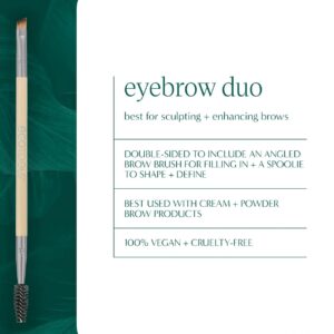 Dúo de pinceles para cejas - Imagen 3