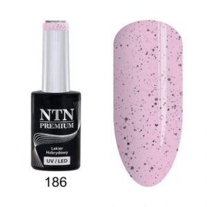 .Colección Sugar Puff - Imagen 7