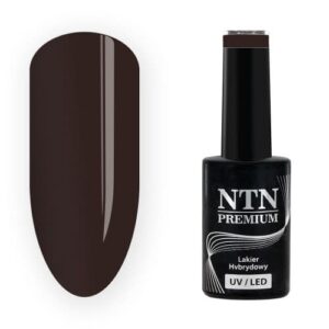 208 NTN Premium - Imagen 1