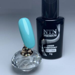 008 NTN Premium - Imagen 3