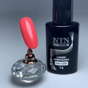 165 NTN Premium. Frambuesa - Imagen 2