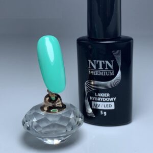 163 NTN Premium - Imagen 2