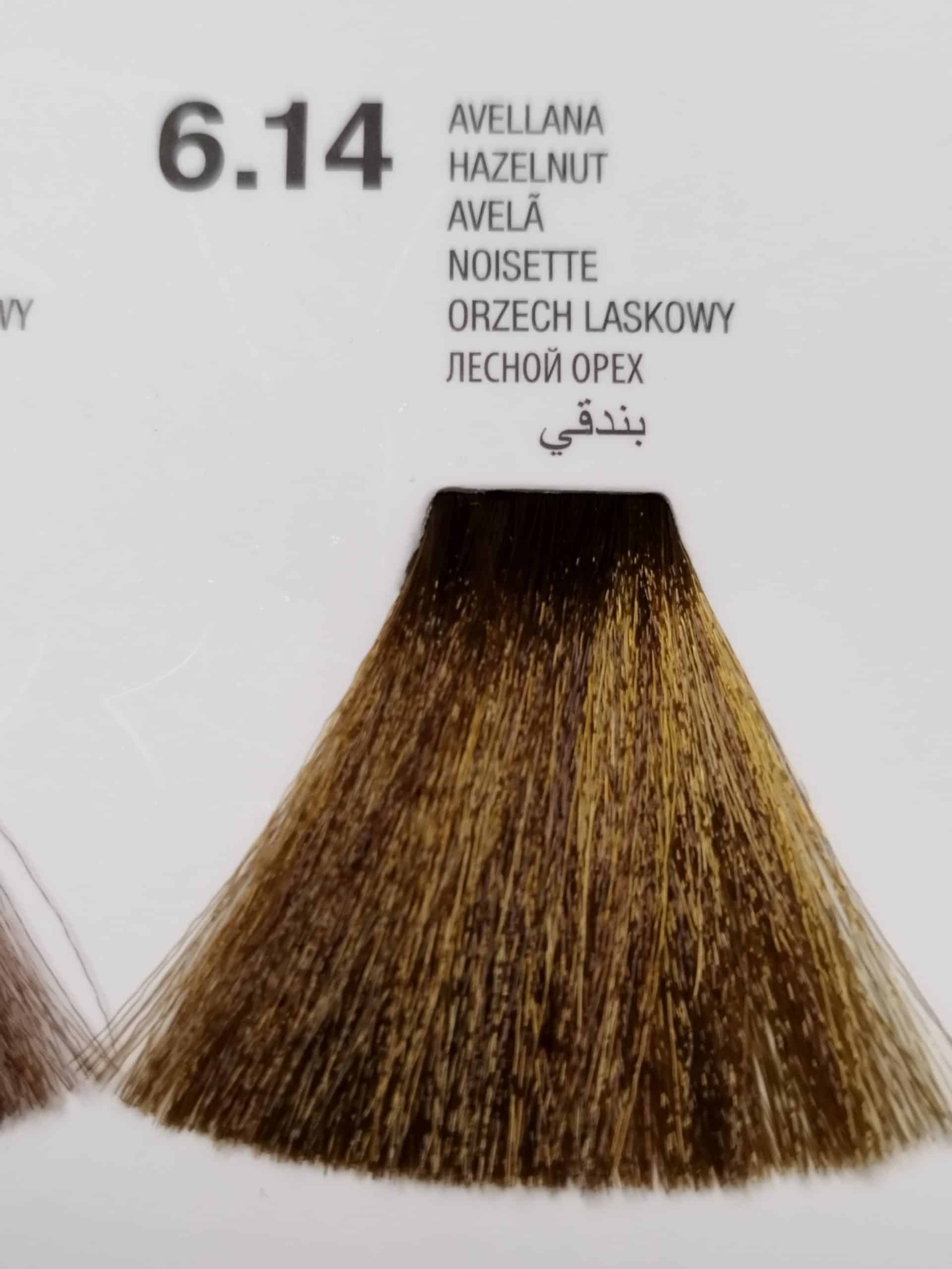 6.14 Avellana