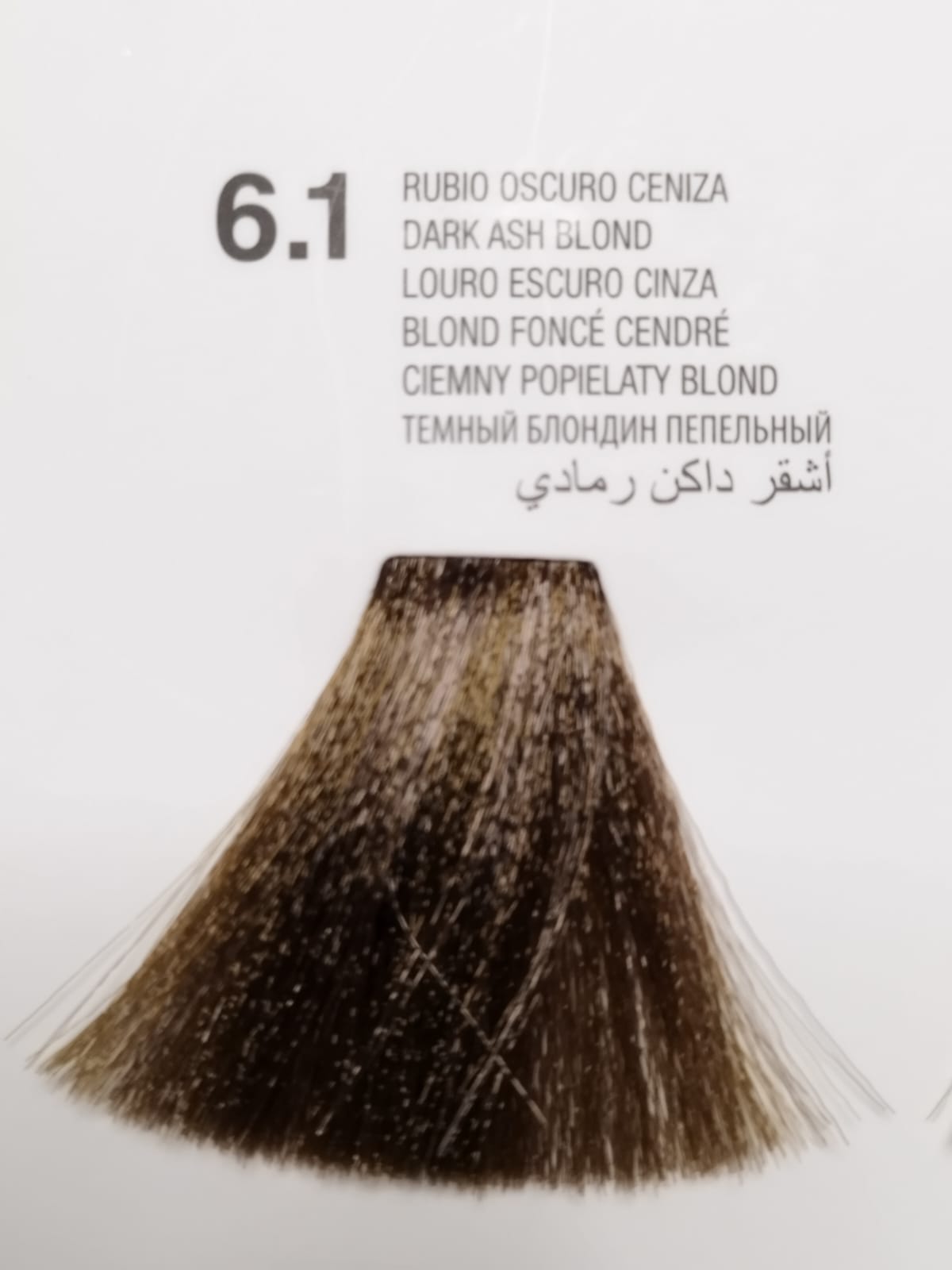 6.1 Rubio Oscuro Ceniza