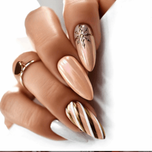 062 NTN Premium - Imagen 2