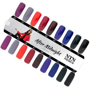 069 NTN Premium - Imagen 3