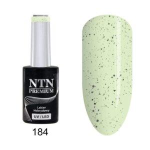 184 NTN Premium - Imagen 1