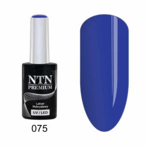 075 NTN Premium - Imagen 1