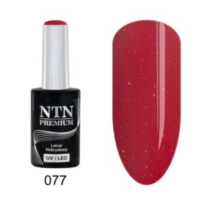 077 NTN Premium - Imagen 1