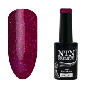 213 NTN Premium - Imagen 1