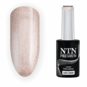 199 NTN Premium - Imagen 1