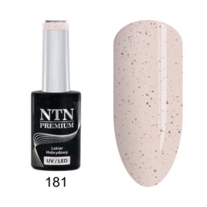 181 NTN Premium - Imagen 1