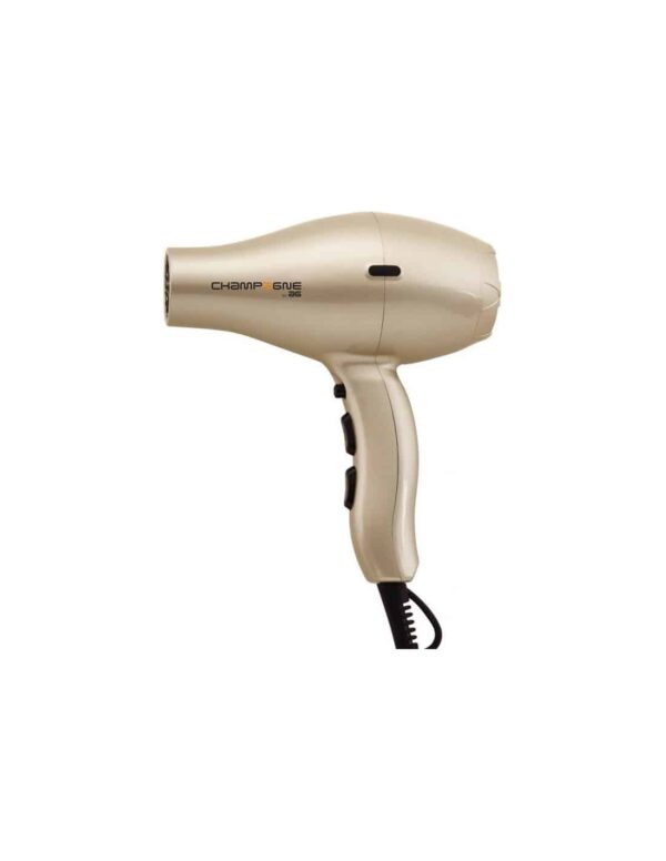 secador-champagne-dc-2100w-ag